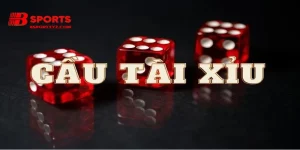 Soi cầu tài xỉu cùng bsports