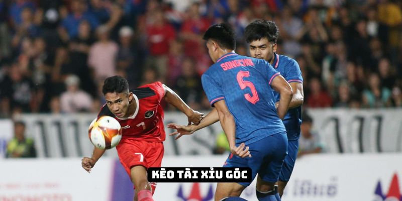 Cược góc mang đến những trải nghiệm mới