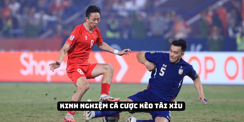 Những kinh nghiệm cần có khi chơi cá cược tài xỉu